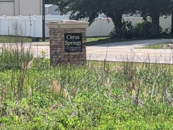 À vendre. Annonces immobilières à Miami - Propriété résidentielle - A11409867 - À vendre&nbsp;: 51 E Citrus Springs Blvd, Other City - Floride (FL 34434)