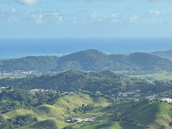 A Vendre_A louer. Annonces immobilieres Miami - Propriété Résidentielle - A11559335 - A Vendre : Barrio Anton Ruiz y PR - 925, HUMACAO, PR 00741