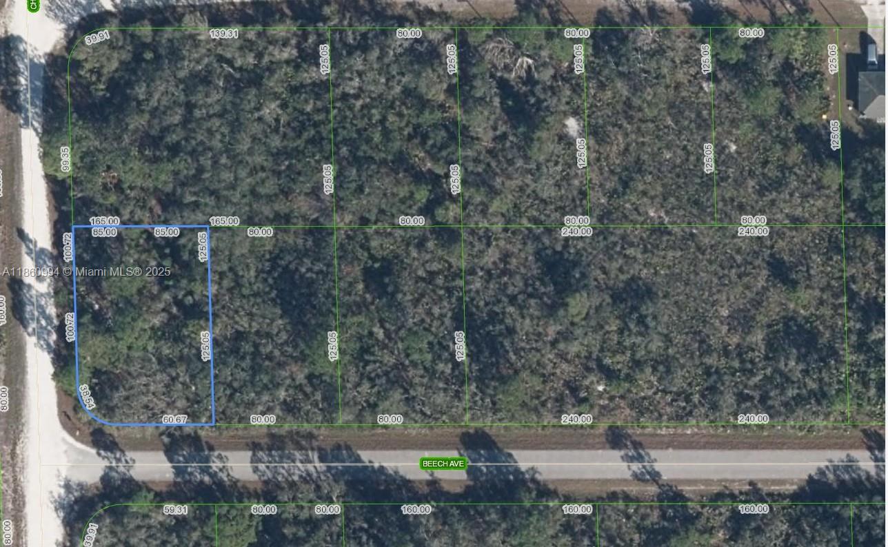 A Vendre_A louer. Annonces immobilieres Miami - Property Residential - A11860994 - A Vendre : 3031 Beech Avenue, Lake Placid FL 33852