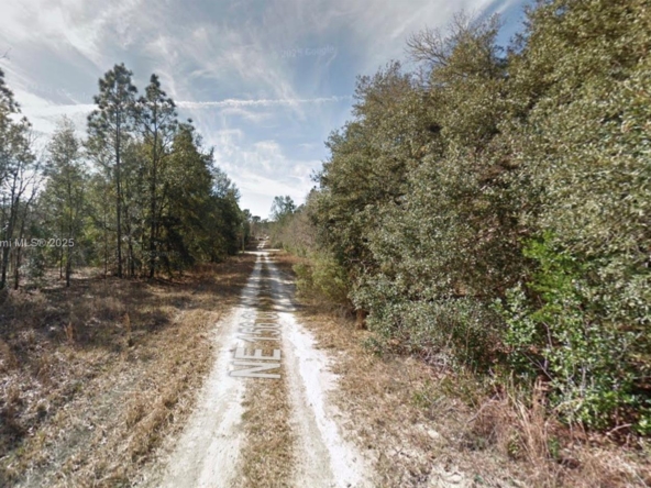 A Vendre_A louer. Annonces immobilieres Miami - Propriété Résidentielle - A11888349 - A Vendre : Lot 4 NE 156th Ct, Williston FL 32696