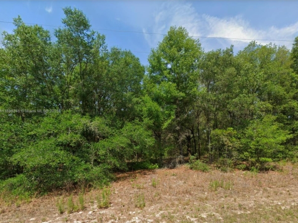 A Vendre_A louer. Annonces immobilieres Miami - Propriété Résidentielle - A11898246 - A Vendre : 11451 N clare, Citrus Springs FL 34434