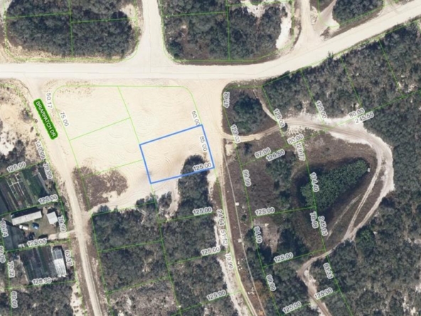 A Vendre_A louer. Annonces immobilieres Miami - Property Residential - A11950129 - A Vendre : 132 Joy Drive, Lake Placid FL 33852